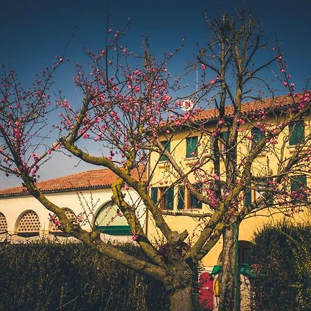 Le Vigne Morosina Villa Cessalto Exterior photo